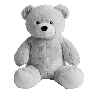 Oso Cariñoso Gris